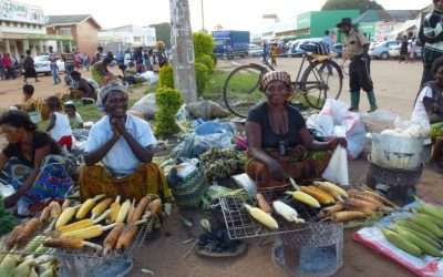 Congolese Finance Act revisited